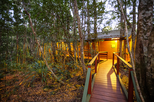 The Mouses House Rainforest Retreat | lodging | 2807 Springbrook Rd, Springbrook QLD 4213, Australia | 0755335192 OR +61 7 5533 5192