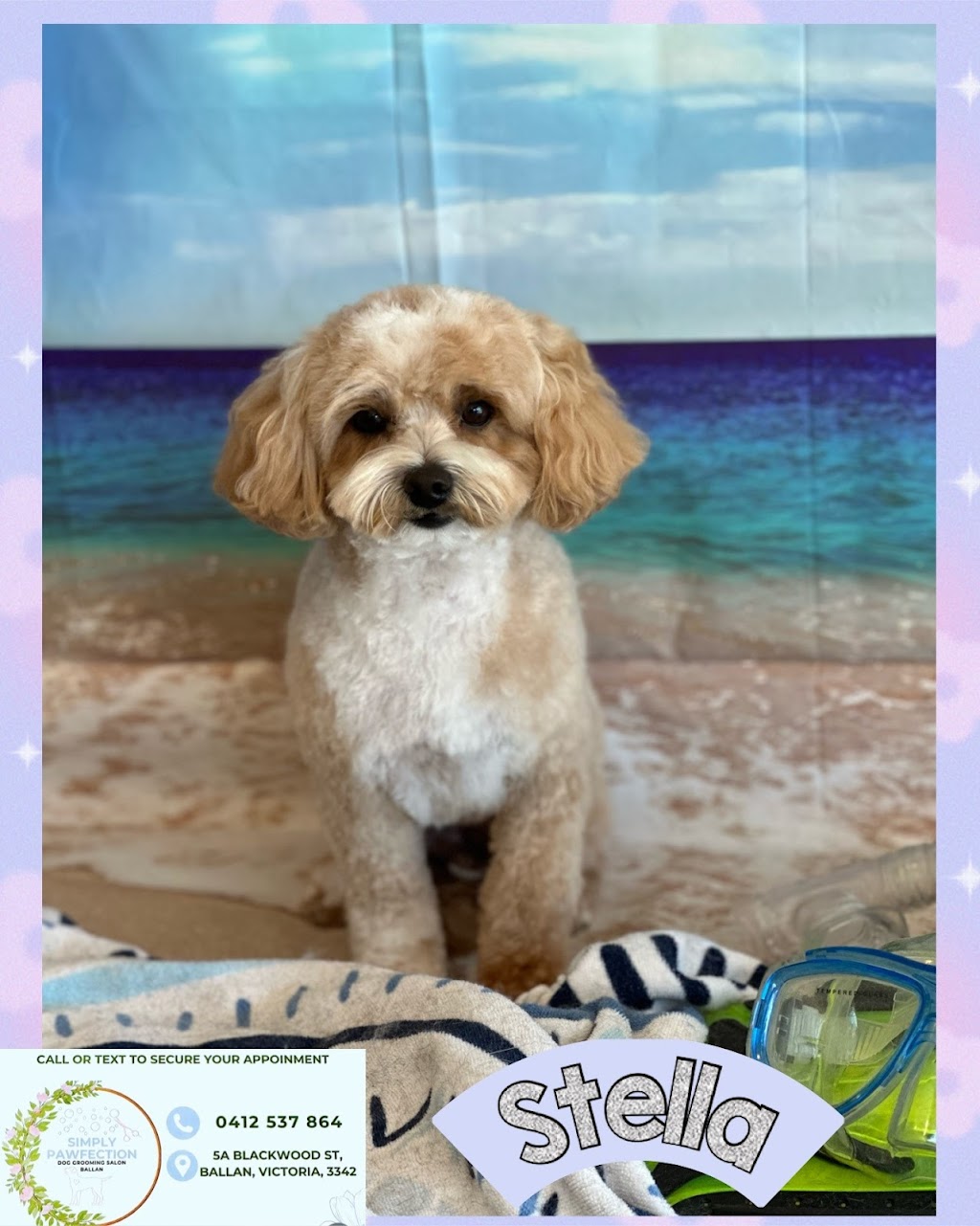 Simply Pawfection Dog Grooming Salon - Ballan | 5A Blackwood St, Ballan VIC 3342, Australia | Phone: 0412 537 864