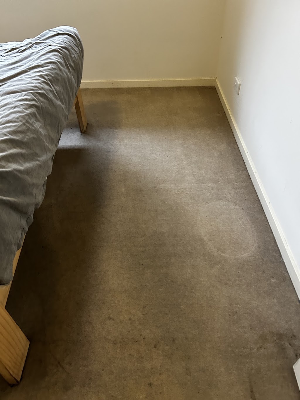 Clean Geniee Cleaning and Housekeeping Services | 4 Tennyson Ave, Clayton South VIC 3169, Australia | Phone: 0468 448 704