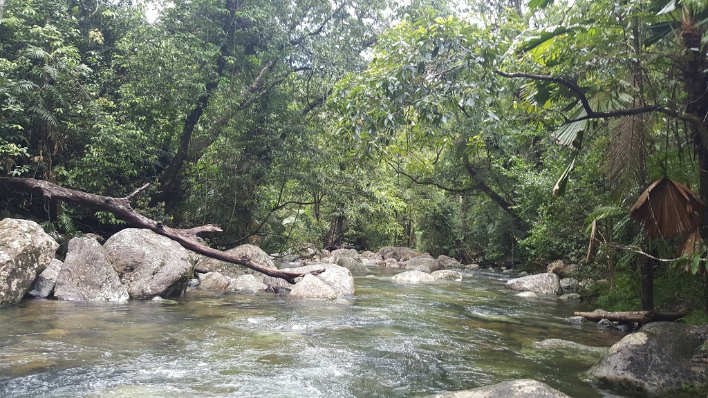 Cedar Bay National Park | park | Cedar Bay Road, Bloomfield QLD 4895, Australia | 137468 OR +61 137468