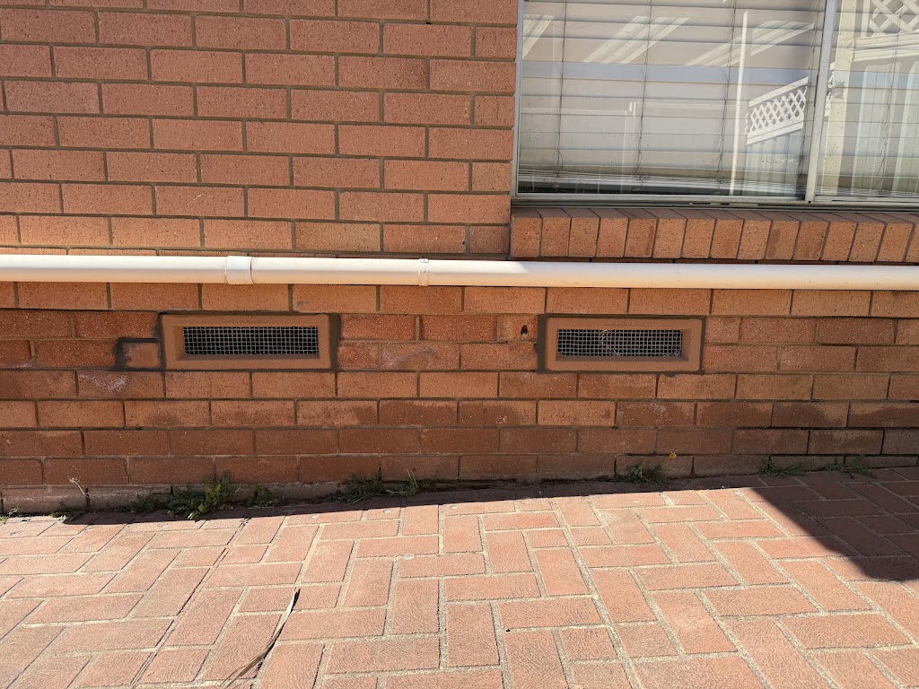 Nafali Pest Control | Burragorang Rd, The Oaks NSW 2570, Australia | Phone: 0404 851 981