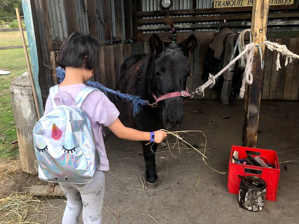 Tranquil Park Stables | 168 Browns Rd, Cranbourne South VIC 3977, Australia | Phone: 0418 170 984