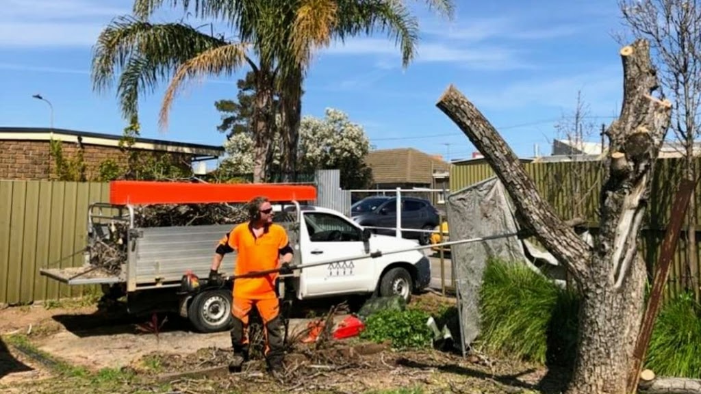 FTGU Tree Services | 10 Brigadoon St, Happy Valley SA 5159, Australia | Phone: 0439 464 935