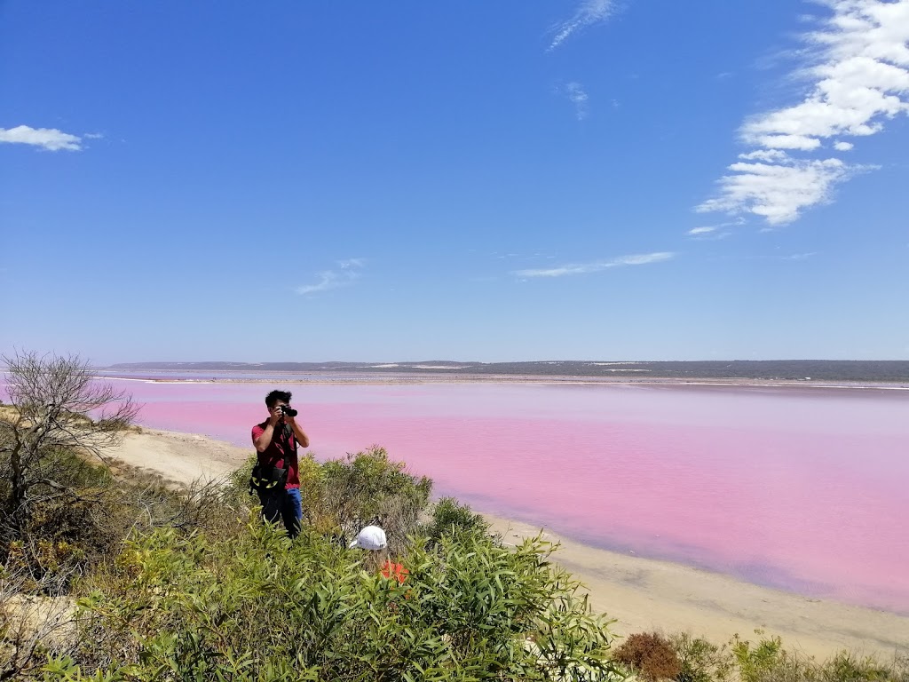 Pink Lake | park | Port Gregory Rd, Gregory WA 6535, Australia