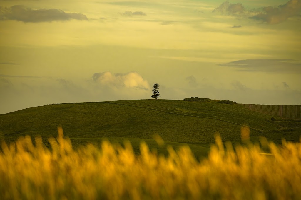 Cooks Hill Views | 58 Stuart St, Korumburra VIC 3950, Australia | Phone: 0419 513 188