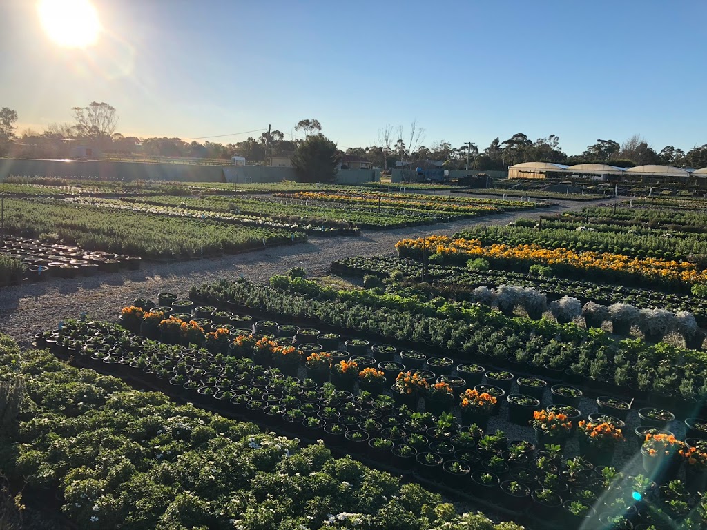 Plantex Nursery | 110 Campbells Rd, Clyde VIC 3978, Australia | Phone: (03) 5998 5552