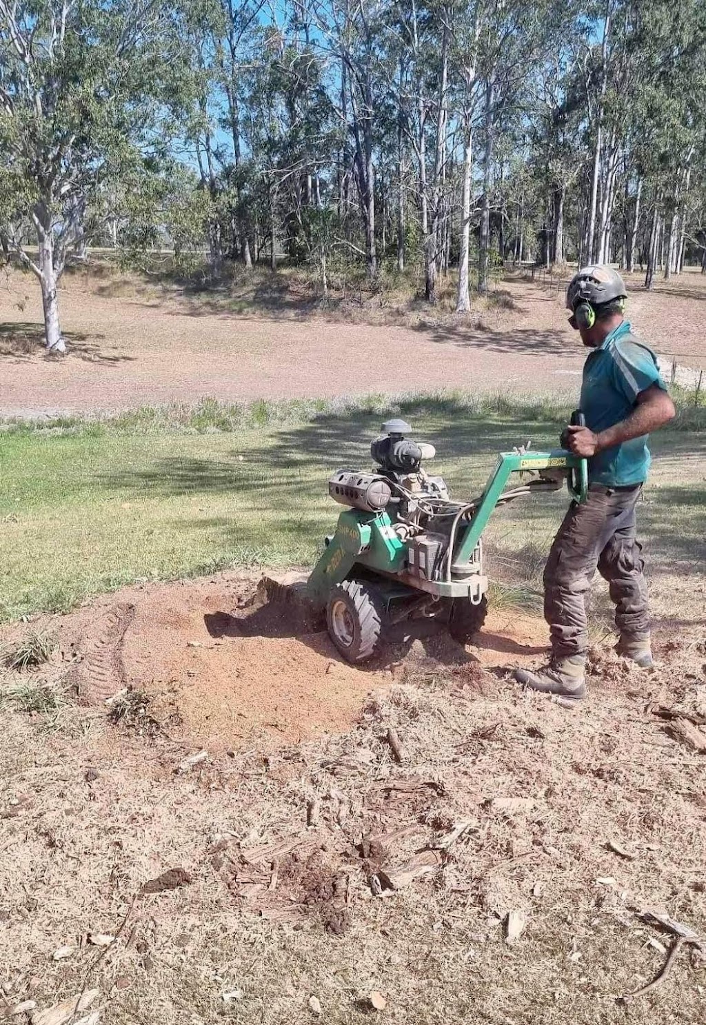 Manning Valley Tree Service | 1774 Lansdowne Rd, Langley Vale NSW 2426, Australia | Phone: 0422 287 384