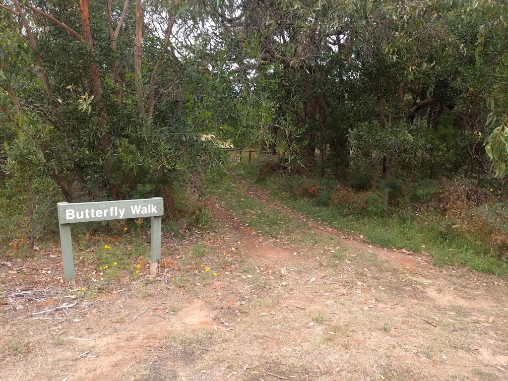 Butterfly Walk trail head | Butterfly Walk, Caroline SA 5291, Australia
