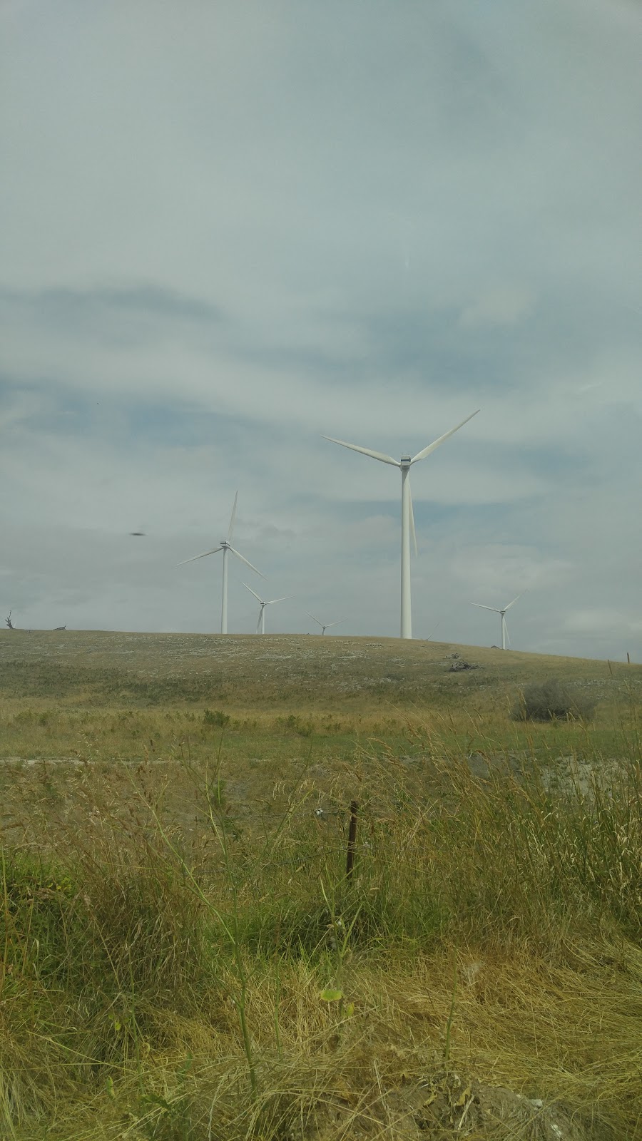 Woakwine Range Wind Farm Tourist Drive | Canunda Frontage Rd, Tantanoola SA 5280, Australia | Phone: (08) 8733 0904