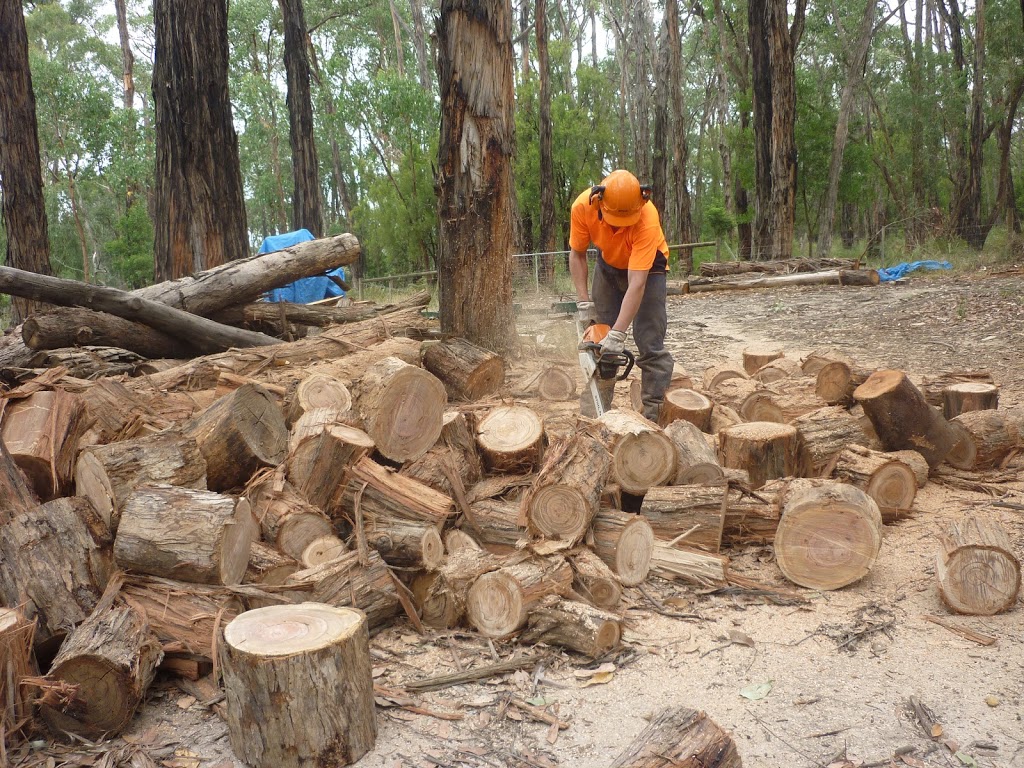 ezy tree solutions |  | Maurice Rd, Wandin North VIC 3139, Australia | 0438979022 OR +61 438 979 022