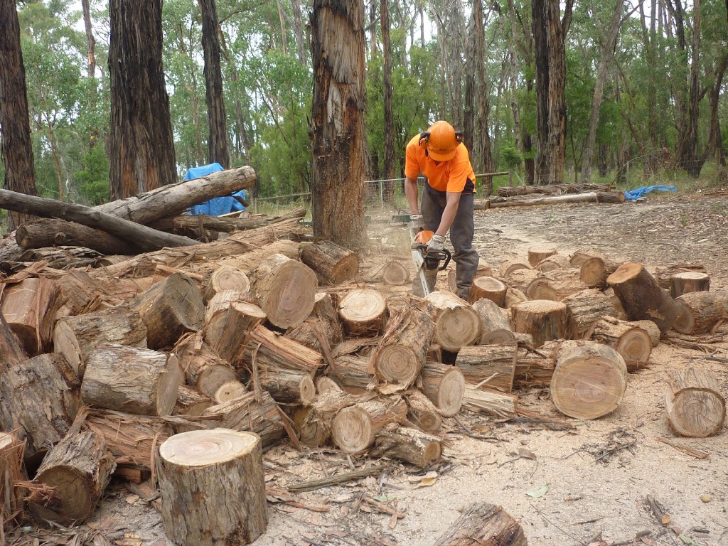 ezy tree solutions | Maurice Rd, Wandin North VIC 3139, Australia | Phone: 0438 979 022