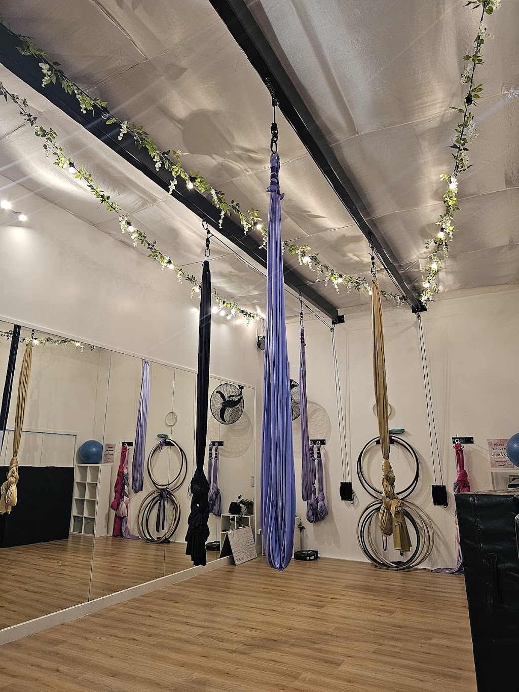 PhysiPole Studios Sale | Unit 3/9 Wellington Park Way, Sale VIC 3850, Australia | Phone: 0432 573 914