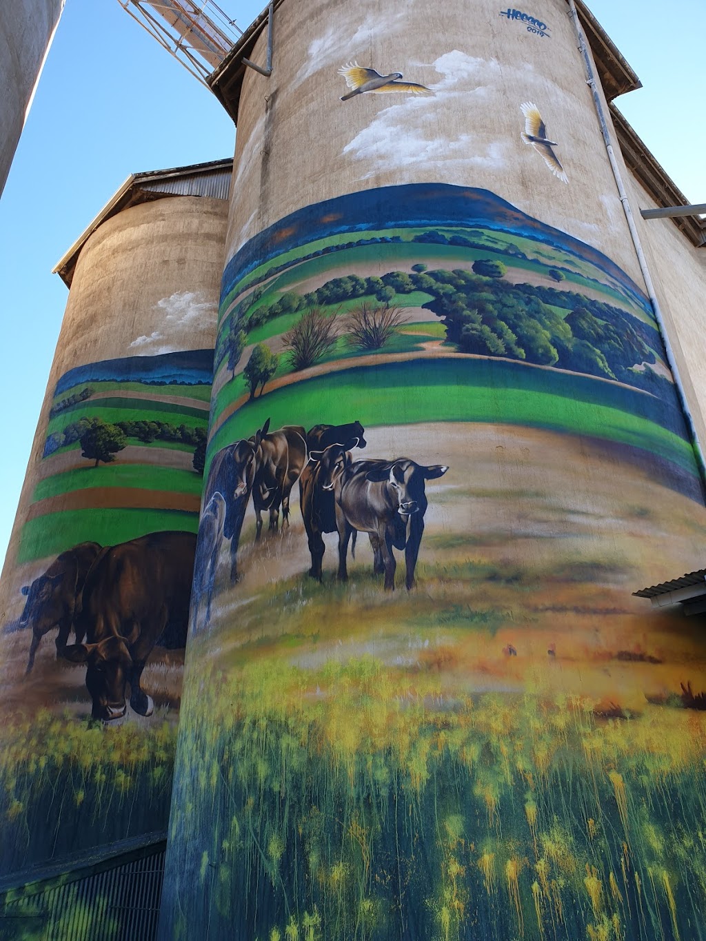 Grenfell Painted Silo by Heesco | 42 West St, Grenfell NSW 2810, Australia | Phone: (02) 6343 2110