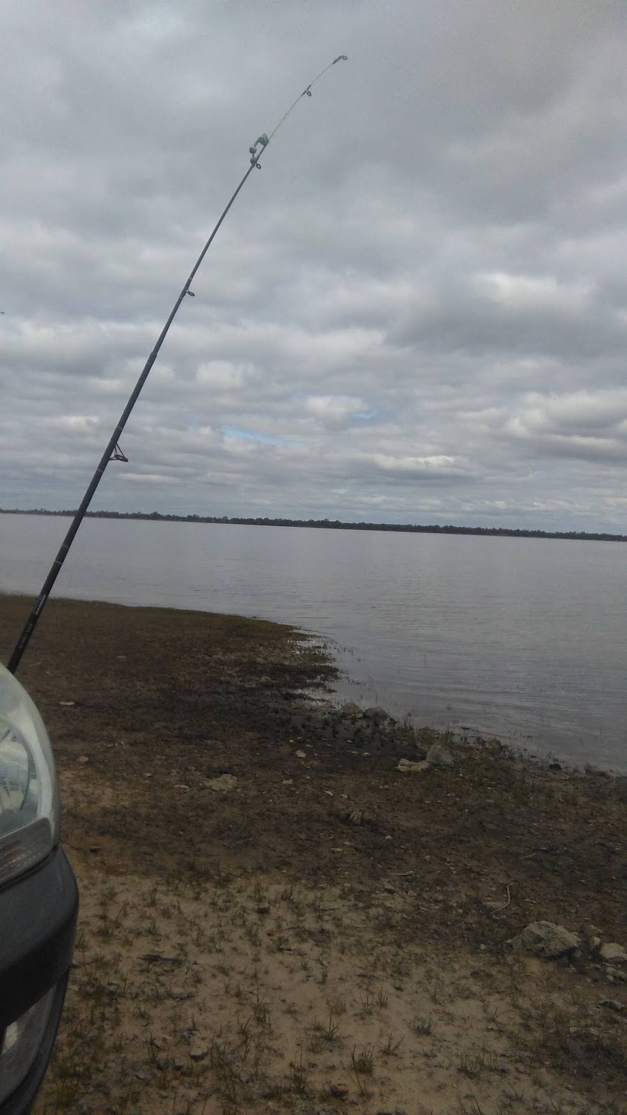 Waranga Basin Boat Ramp - Sapling Point | Waranga Shores VIC 3612, Australia | Phone: 1800 064 184