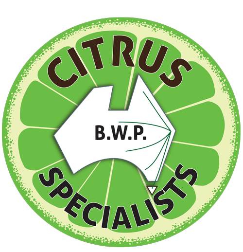 Brunswick Wholesale Plants | 35 Bayside Way, Brunswick Heads NSW 2483, Australia | Phone: (02) 6685 1190