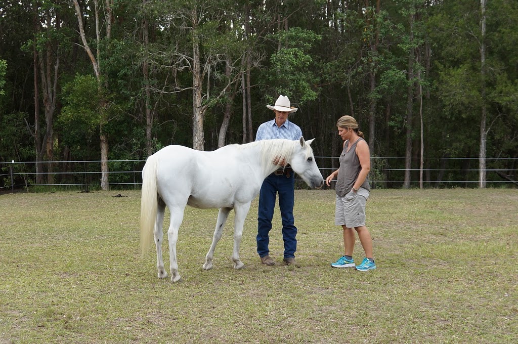 Skerrett Equine | health | 505 Crossmaglen Rd, Bonville NSW 2450, Australia | 0413072922 OR +61 413 072 922