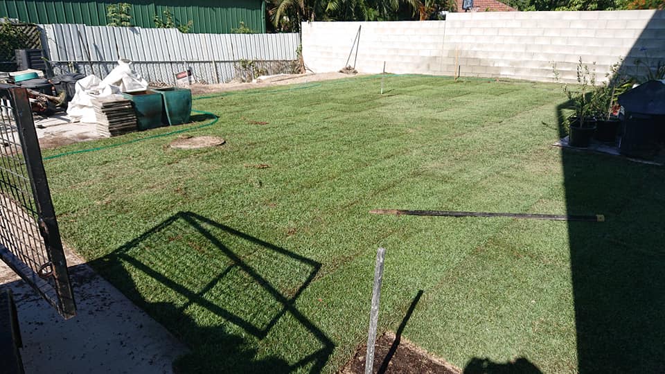 PlantSmart Ecological Solutions | general contractor | 9 Coachella Cres, Upper Coomera QLD 4209, Australia | 0490247998 OR +61 490 247 998