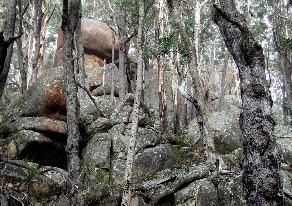 Pheasants Peak walking track | park | Waratah Rd, Paddys Flat NSW 2632, Australia | 0264585900 OR +61 2 6458 5900