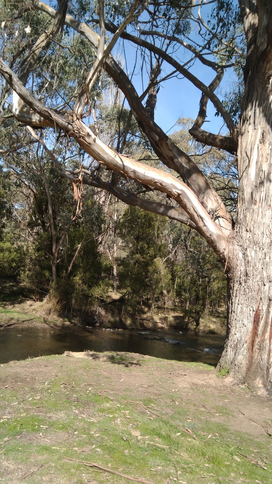 Campground Paddys River | lodging | Paddys River NSW 2577, Australia