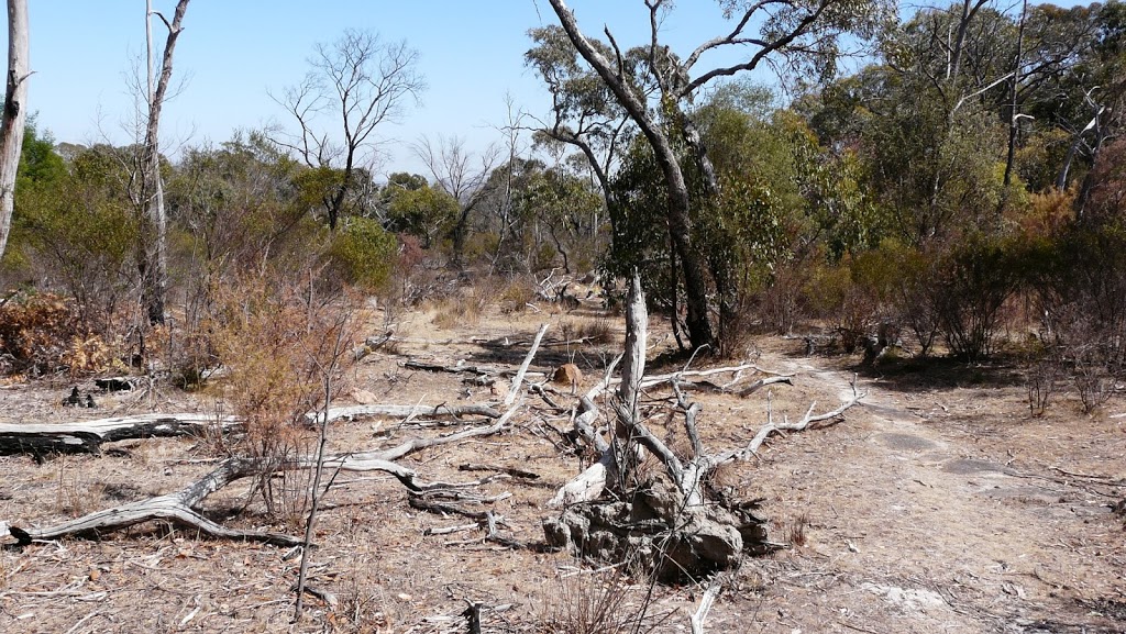 Langi Ghiran Picnic And Camping Area | Warrak VIC 3377, Australia