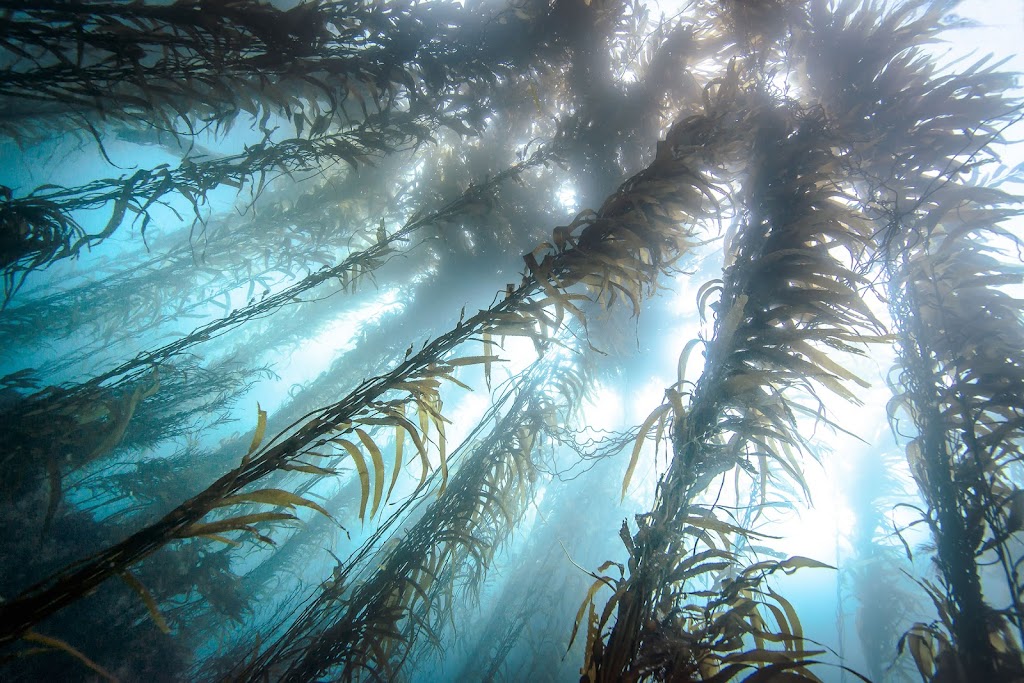 Marinova | 249 Kennedy Dr, Cambridge TAS 7170, Australia | Phone: (03) 6248 5800