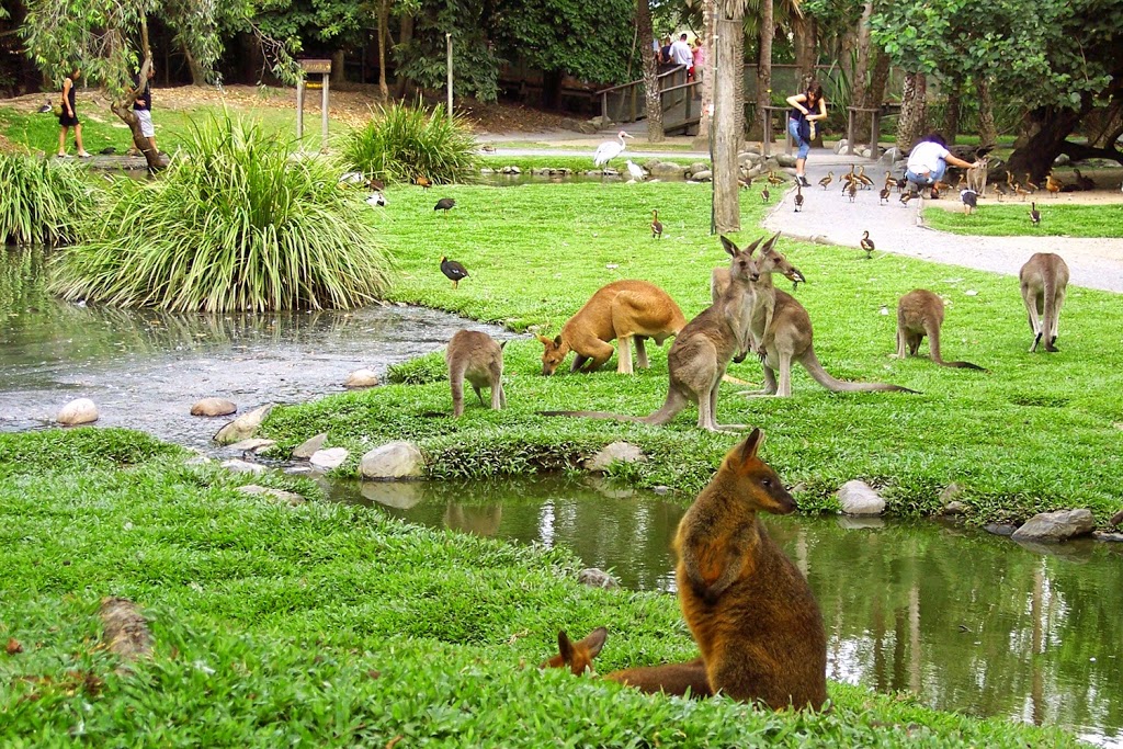 Wildlife Habitat | park | Port Douglas Rd, Port Douglas QLD 4877, Australia | 0740993235 OR +61 7 4099 3235