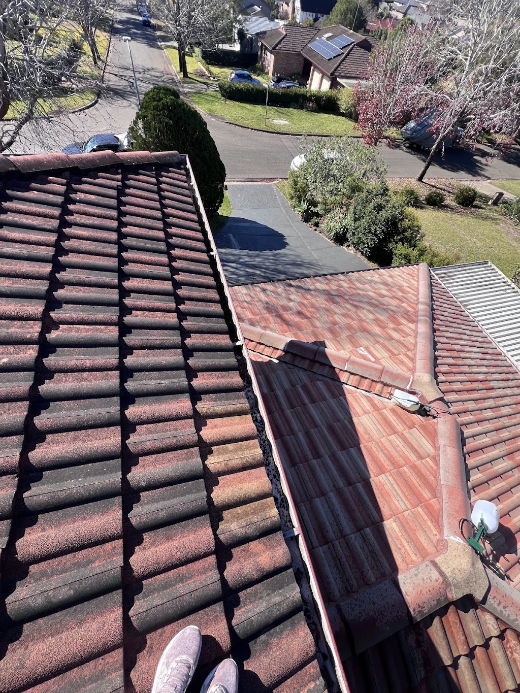 Mint Exterior Cleaning | Marrickville Rd, Dulwich Hill NSW 2203, Australia | Phone: 0405 599 234