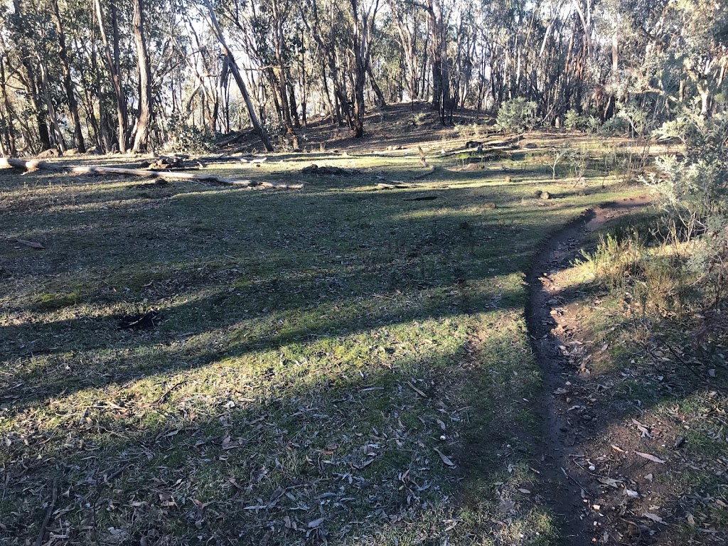 Baranduda Regional Park | Victoria 3691, Australia