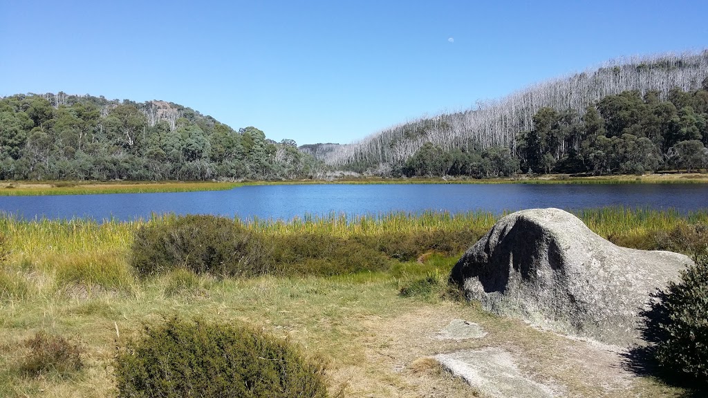 Mount Buffalo National Park | park | Mount Buffalo VIC 3740, Australia | 131963 OR +61 131963