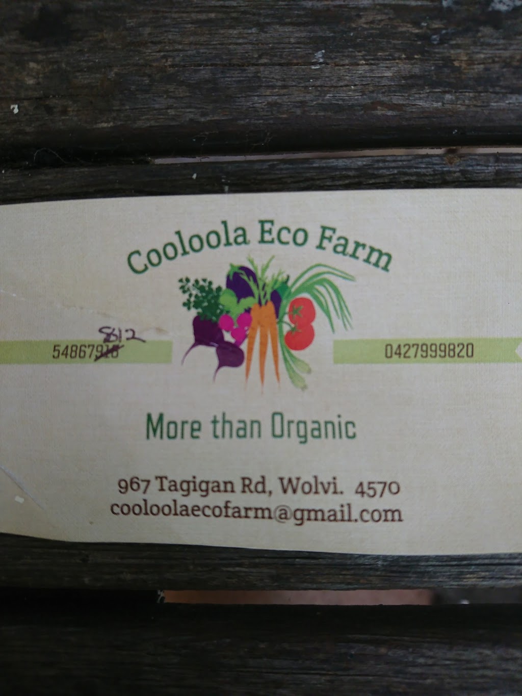 Cooloola Eco Farm | store | 967 Tagigan Rd, Wolvi QLD 4570, Australia | 54867812 OR +61 54867812