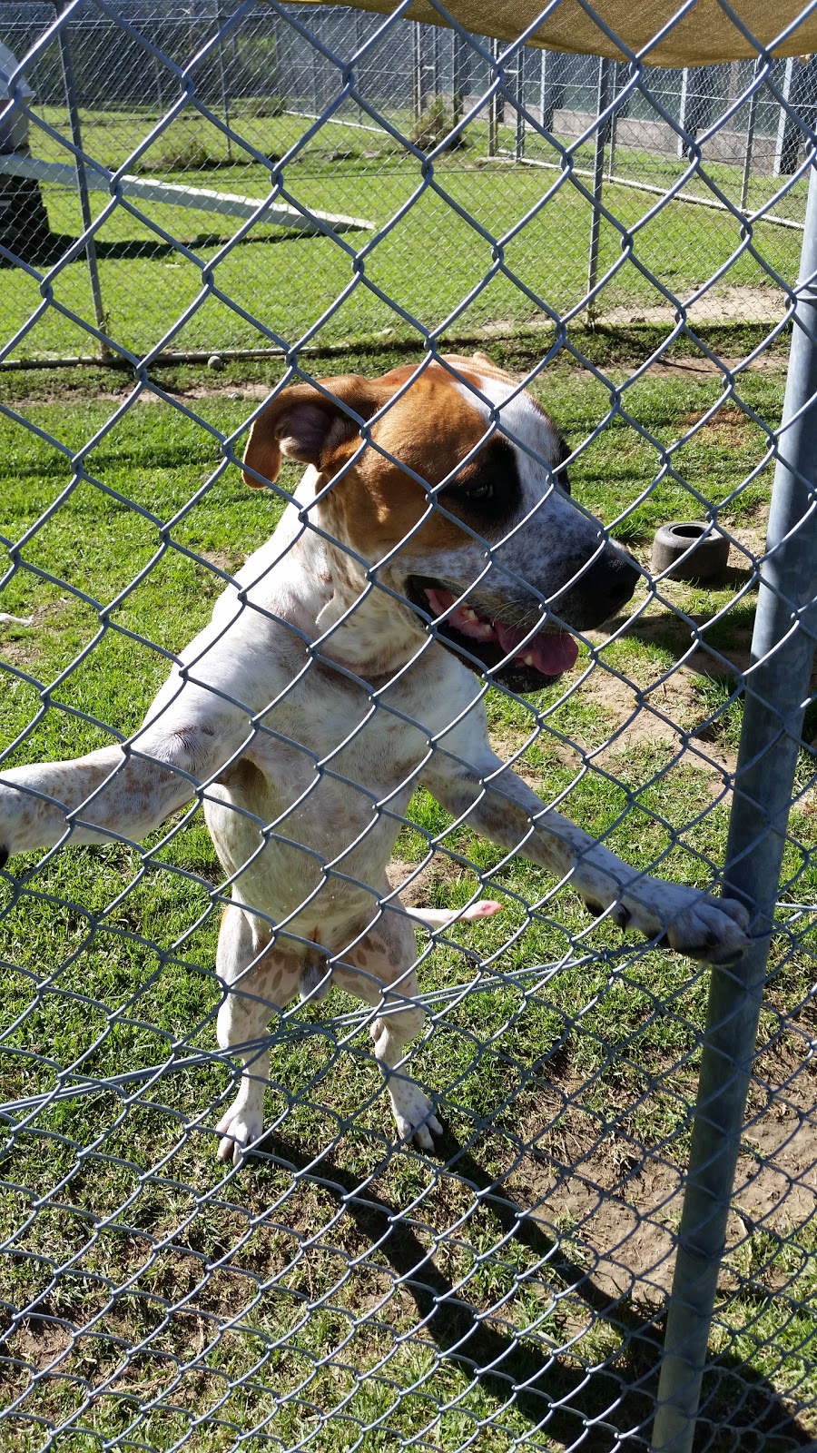 RSPCA NSW Behaviour and Rehabilitation Centre (Central Coast) |  | 455 Reeves St, Somersby NSW 2250, Australia | 0243722044 OR +61 2 4372 2044