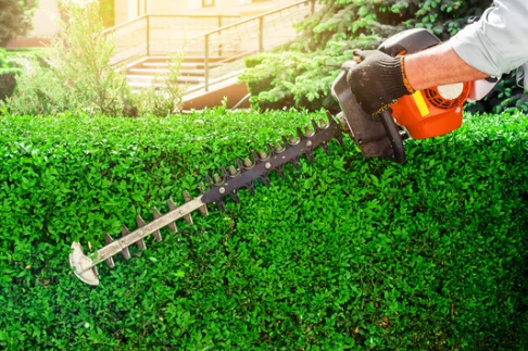 HM Lawns Gold Coast | Worongary Rd, Tallai QLD 4213, Australia | Phone: 0437 446 033
