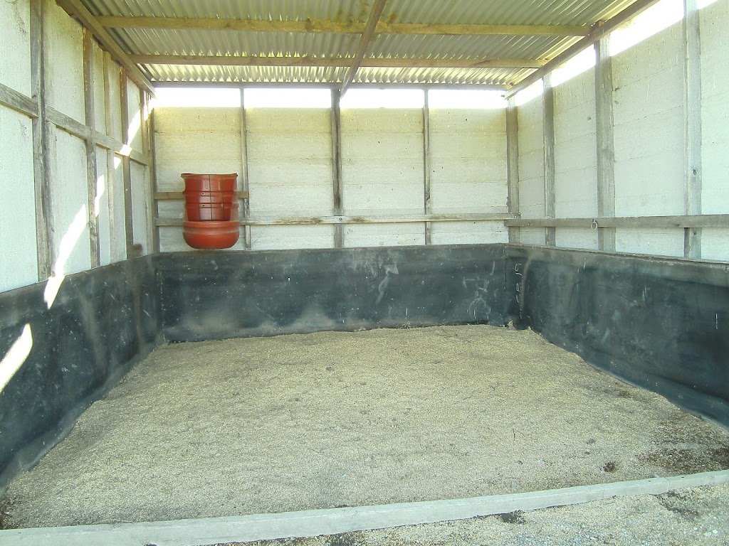 Lazy J Horse Agistment | D515 Princes Hwy, Comberton NSW 2540, Australia | Phone: 0415 404 202