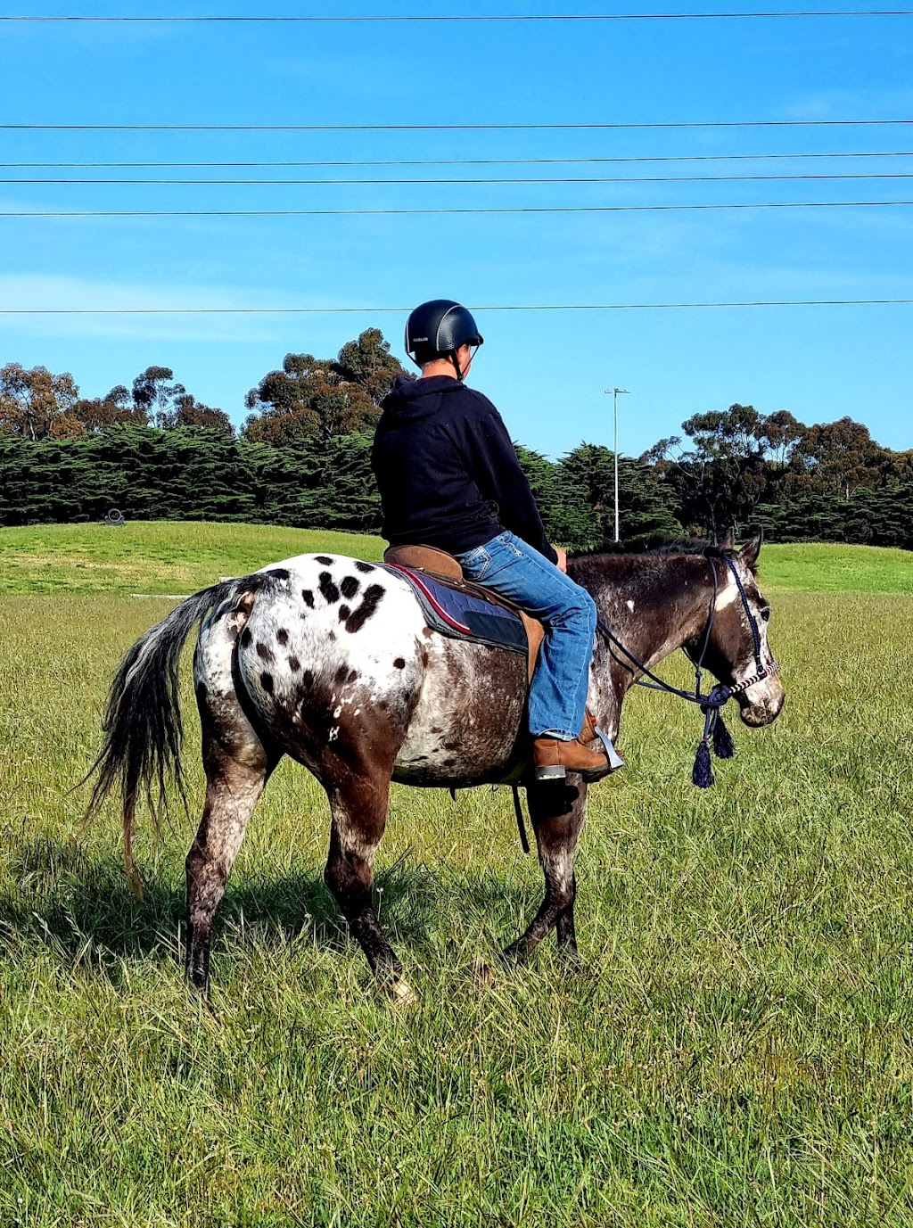 TRAKERSTEAD RANCH | Elcho Rd, Lara VIC 3212, Australia | Phone: 0408 914 182