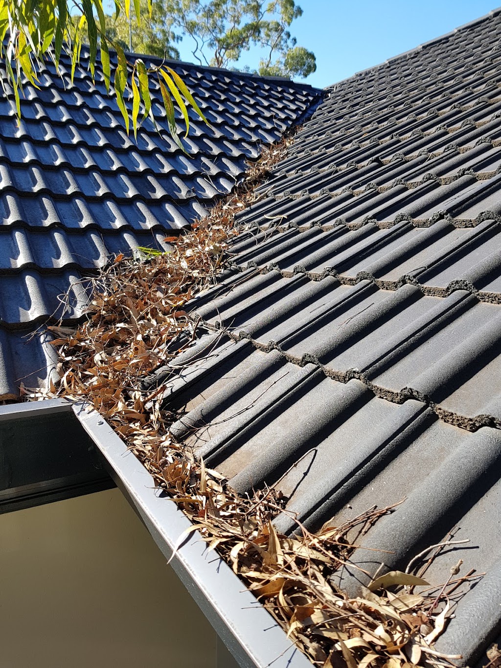 Ace Vacuum Gutter Cleaning |  | 31 Osprey Dr, Illawong NSW 2234, Australia | 0410517180 OR +61 410 517 180