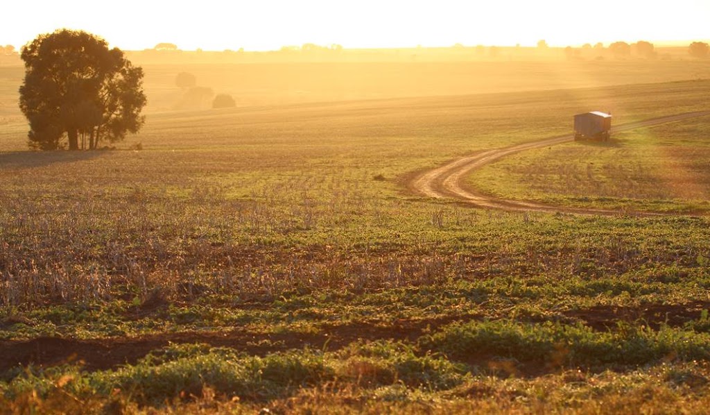 Boobook Ecotours Outback Queensland |  | 15 Quintin St, Roma QLD 4455, Australia | 0746222646 OR +61 7 4622 2646