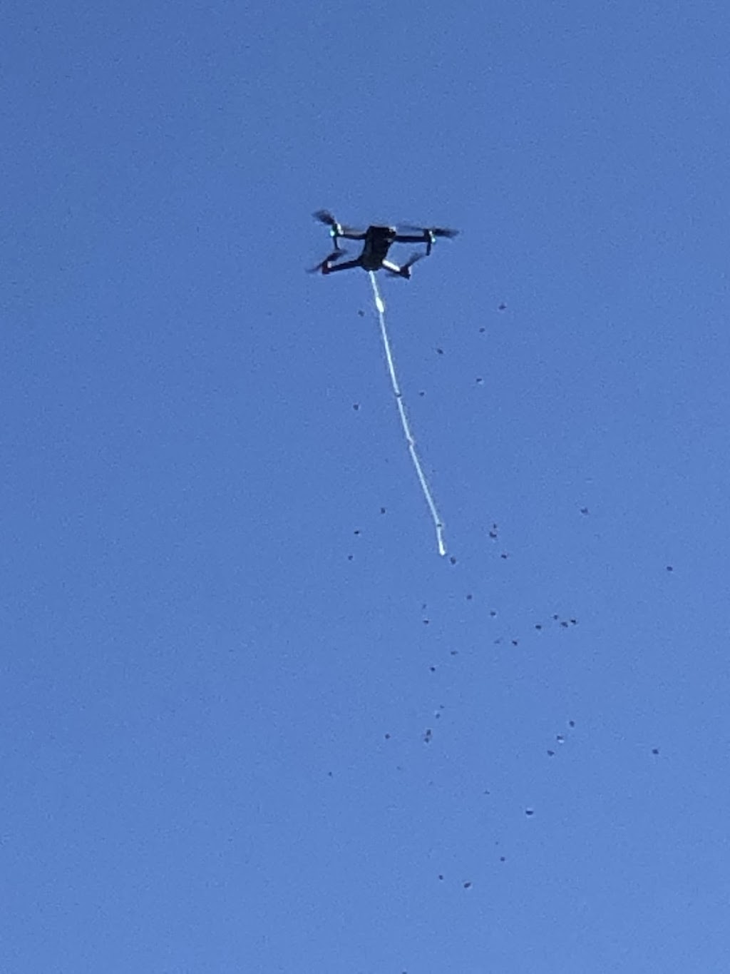 Bee Genetics | 156Fischer Road, Carbrook QLD 4130, Australia | Phone: 0400 833 017