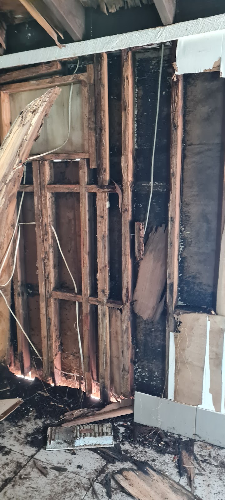 Wipeout Termites and Pests | 95 Bells Esplanade, Pelican Waters QLD 4551, Australia | Phone: 0437 122 236