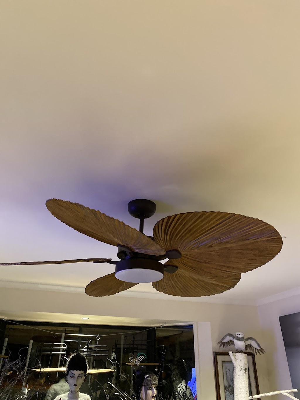 Rising Electrical | 56 Elizabeth Bay Dr, Lake Munmorah NSW 2259, Australia | Phone: 0434 016 131