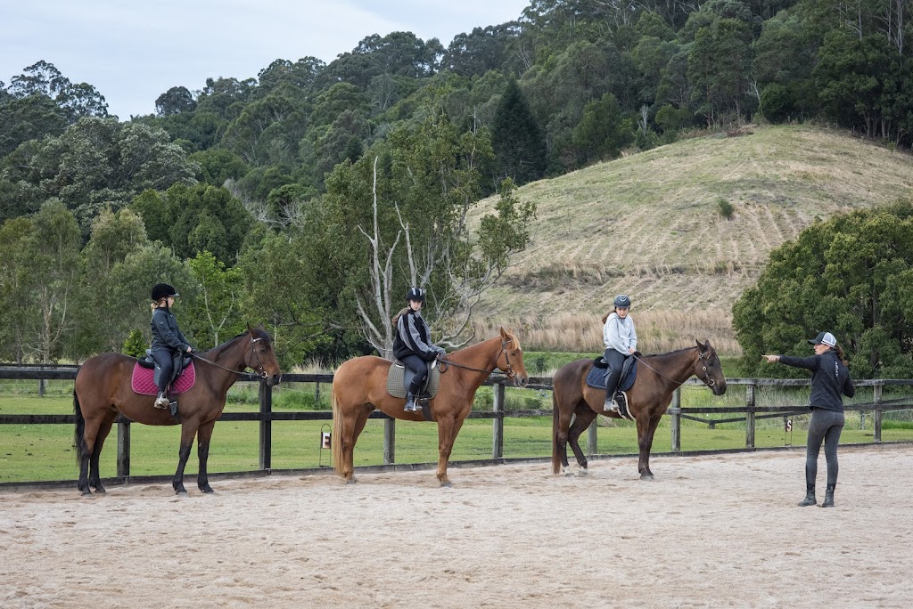 Mullumbimby Equestrian Centre | 310 Left Bank Rd, Mullumbimby Creek NSW 2482, Australia | Phone: 0413 959 708