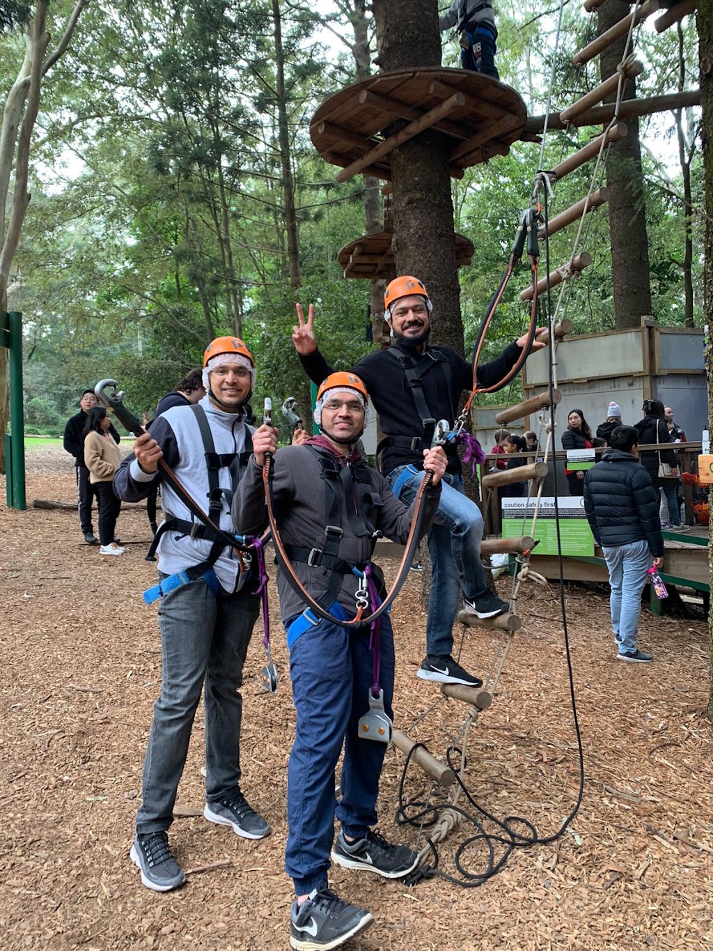 Treetops Adventure The Hills | Cumberland State Forest, 95 Castle Hill Rd, West Pennant Hills NSW 2126, Australia | Phone: (02) 9188 4051