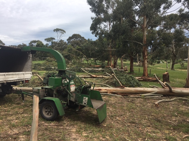 A Cut Above Tree Removal | 24 Corella Ave, Chandlers Hill SA 5159, Australia | Phone: 0411 245 635