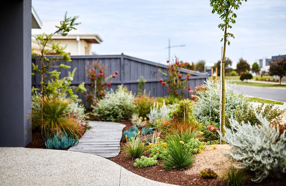 The Gardener & Co. | 189 Jefferson Ln, Palm Beach QLD 4221, Australia | Phone: 0460 941 392