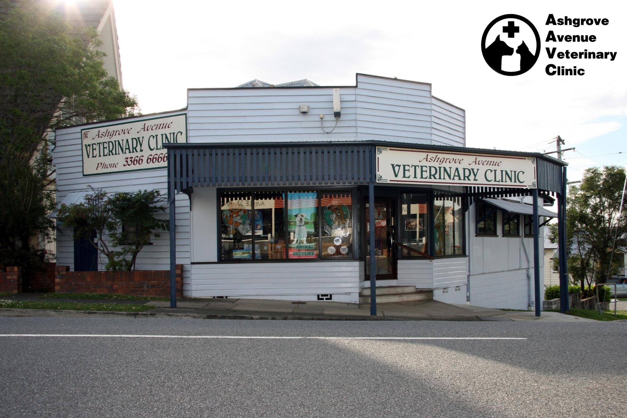 Ashgrove Avenue Veterinary Clinic | pet store | 32 Ashgrove Ave, Ashgrove QLD 4060, Australia | 0733666666 OR +61 7 3366 6666