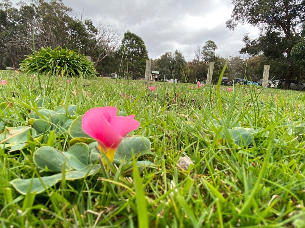 Treetops Scout Camp | 140 Royal Parade, Riddells Creek VIC 3431, Australia | Phone: (03) 5428 6756