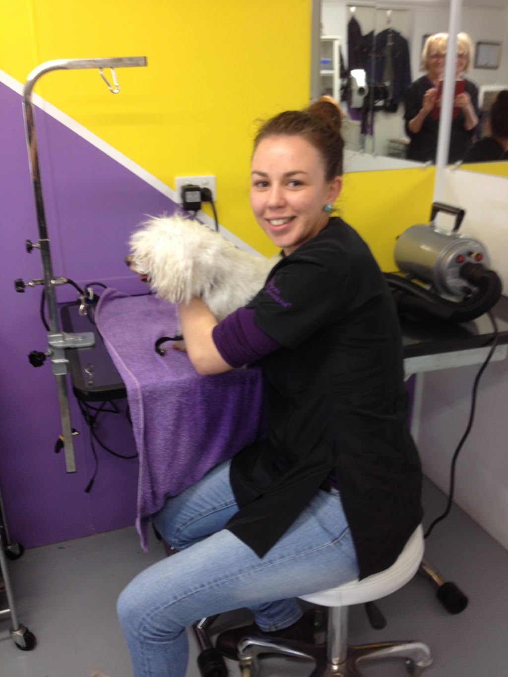 Soapy PAUSE for Dogs | 107 Ocean St, Dudley NSW 2290, Australia | Phone: (02) 4944 7496