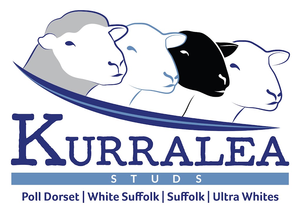 Kurralea Studs | 10336 Newell Hwy, Ariah Park NSW 2665, Australia | Phone: 0429 814 549