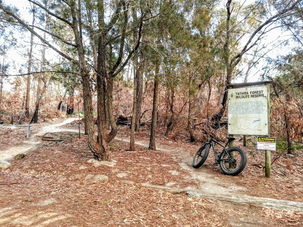 Mountain Bike Trailhead (Bundadung) | university | Tathra Rd, Tathra NSW 2550, Australia