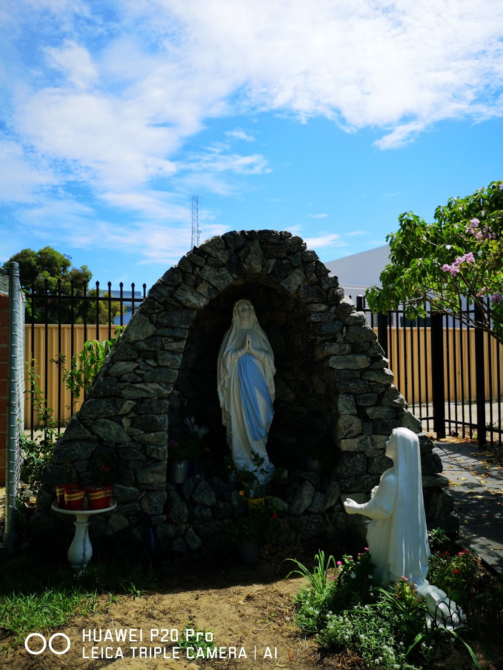 Saint Annes Catholic Church | church | 13 Hehir St, Belmont WA 6104, Australia | 0894449604 OR +61 8 9444 9604