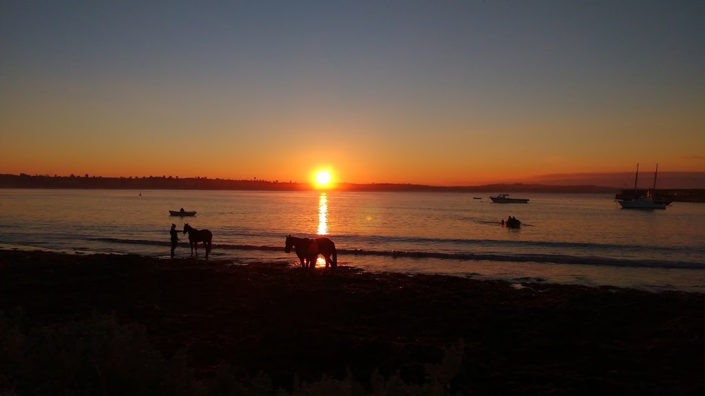 Lady Bay Warrnambool | store | Worm Bay Rd, Warrnambool VIC 3280, Australia